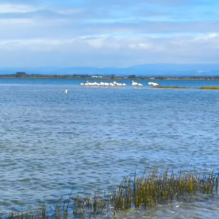 Casa de Férias Sixtynine Torreira