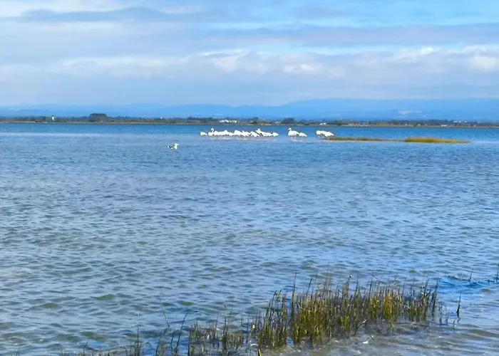 度假居 Sixtynine 托雷拉
