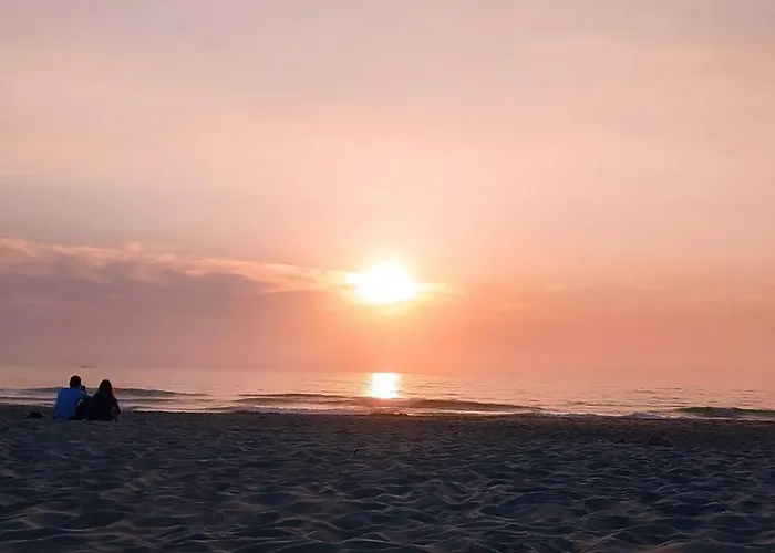 Sixtynine * 托雷拉