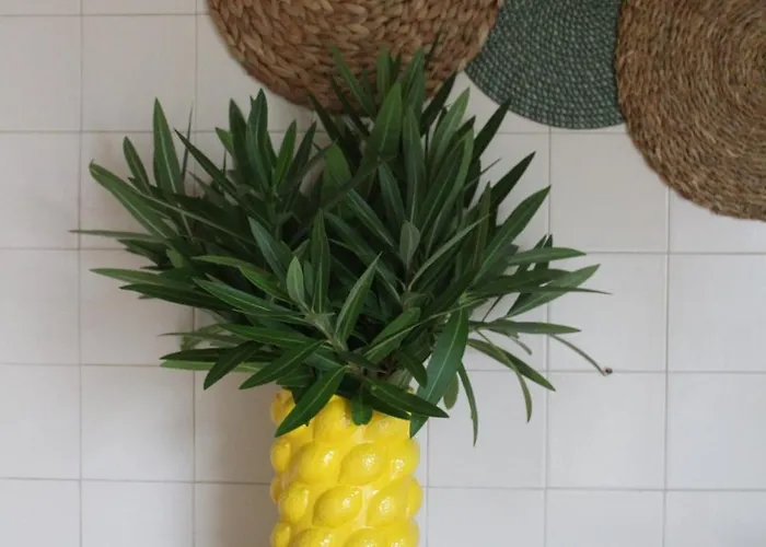 Sixtynine * 托雷拉